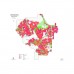 Mapa glebowo-rolnicza powiatu częstochowskiego