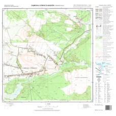 Mapa topograficzna M-34-51-D-d-4