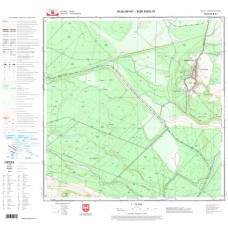 Mapa topograficzna M-34-63-B-d-1