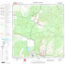 Mapa topograficzna M-34-63-B-d-2