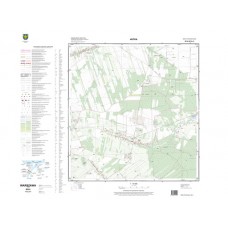 Mapa topograficzna M-34-38-B-c-2 (SOK)