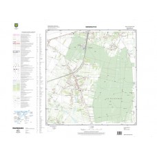 Mapa topograficzna M-34-39-B-c-2 (SOK)