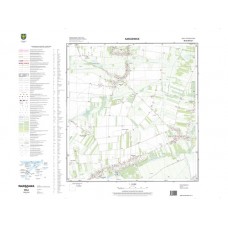 Mapa topograficzna M-34-39-B-d-1 (SOK)