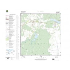 Mapa topograficzna M-34-39-D-b-2 (SOK)