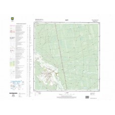 Mapa topograficzna M-34-50-A-d-2 (SOK)