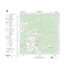 Mapa topograficzna M-34-50-B-c-3 (SOK)