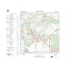 Mapa topograficzna M-34-51-C-c-4 (SOK)