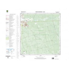 Mapa topograficzna M-34-61-B-c-4 (SOK)