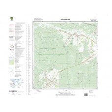 Mapa topograficzna M-34-61-B-d-3 (SOK)