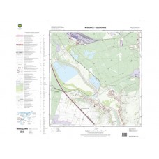 Mapa topograficzna M-34-63-A-d-4 (SOK)