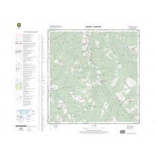 Mapa topograficzna M-34-74-D-d-3 (SOK)