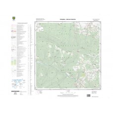 Mapa topograficzna M-34-75-D-a-1 (SOK)