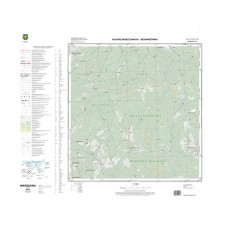 Mapa topograficzna M-34-75-D-a-3 (SOK)